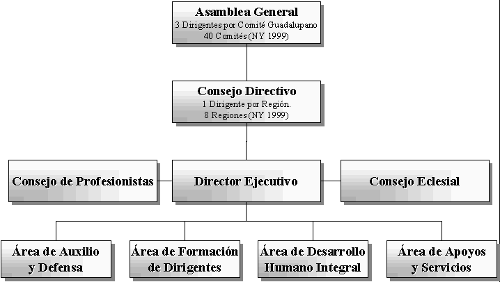 Organigrama de la Asociación Tepeyac, click abajo para más información.